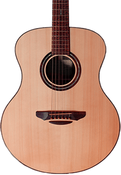 Musical Instrument Acoustic 1